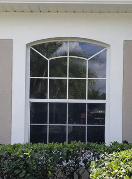 Window Glass Replacement - Glass Repair